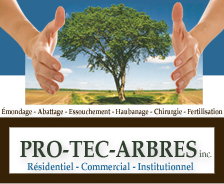 pro-tec-arbres